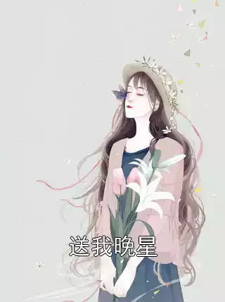 送我晚星小说