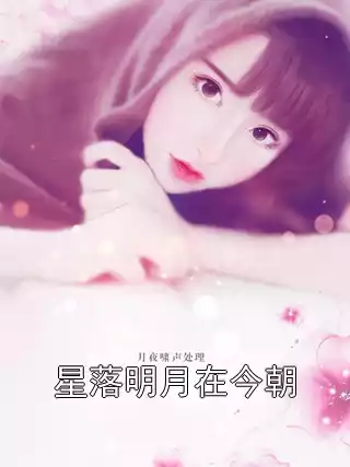 星落明月在今朝小说