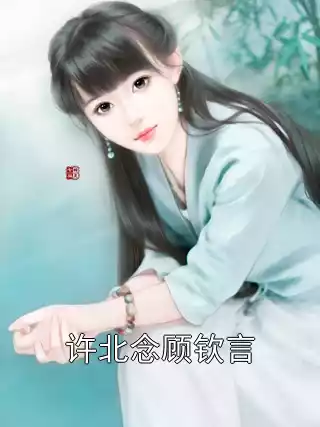 许北念顾钦言小说