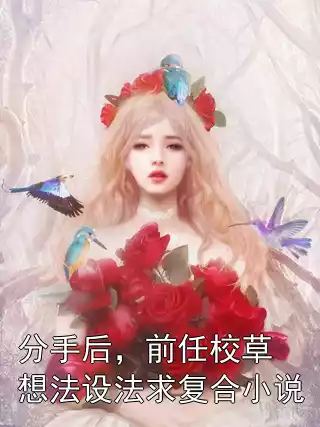 分手后，前任校草想法设法求复合小说小说