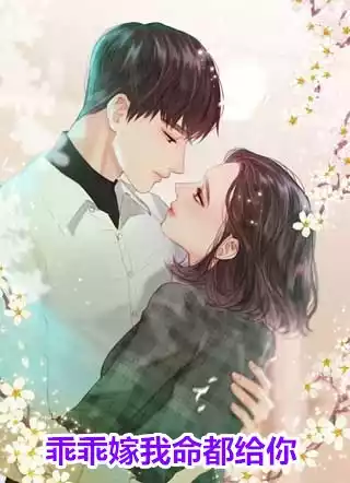 乖乖嫁我命都给你小说