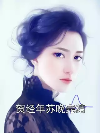 贺经年苏晚完结