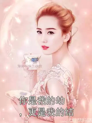 你是我的劫，更是我的结小说