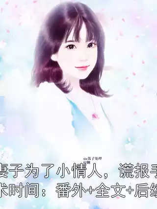 妻子为了小情人，谎报手术时间：番外+全文+后续小说