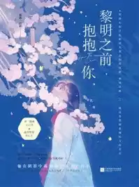 黎明之前抱抱你小说