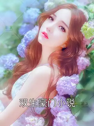 双生豪门小说小说