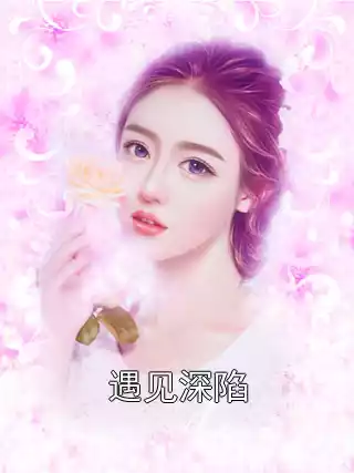 遇见深陷小说