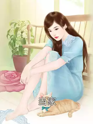 当家小说