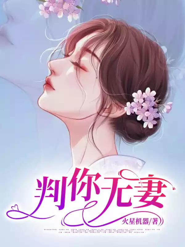 判你无妻小说