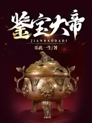 鉴宝大帝小说