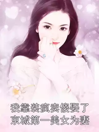 我靠装疯卖傻娶了京城第一美女为妻小说