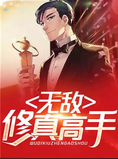 无敌修真高手