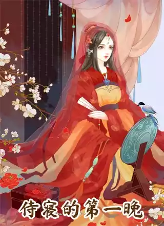 侍寝的第一晚