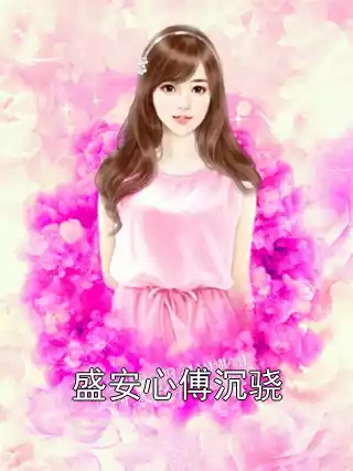 盛安心傅沉骁小说