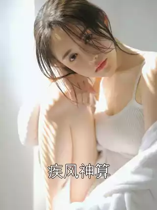 疾风神算小说