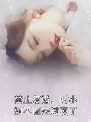 禁止复婚，时小姐不回来过夜了小说