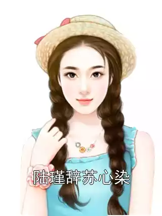 陆瑾辞苏心染小说