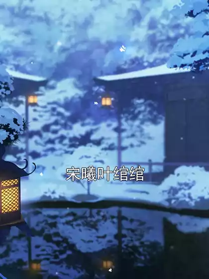 宋曦叶绾绾小说
