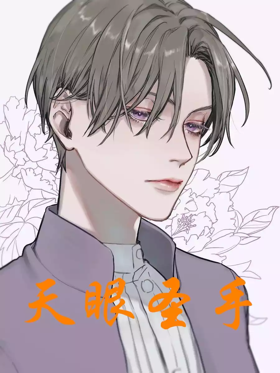 天眼圣手小说