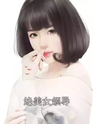 绝美女领导小说