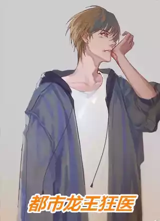 都市龙王狂医小说
