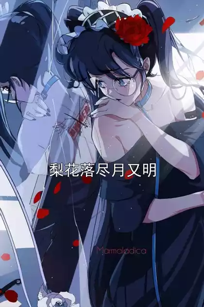 梨花落尽月又明小说