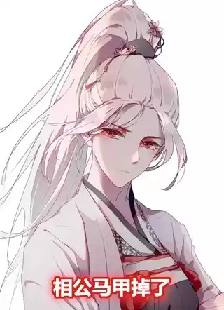 相公马甲掉了小说