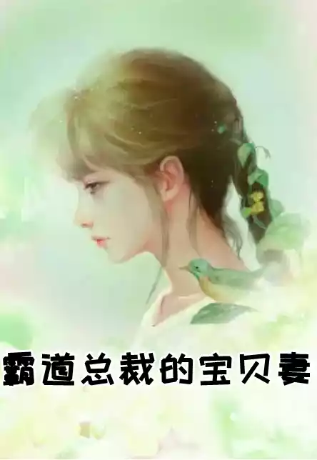 霸道总裁的宝贝妻小说