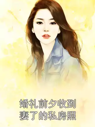 婚礼前夕收到妻了的私房照小说