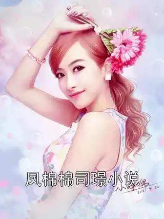 凤棉棉司璟小说