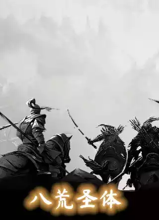 八荒圣体小说