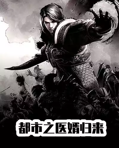都市之医婿归来小说