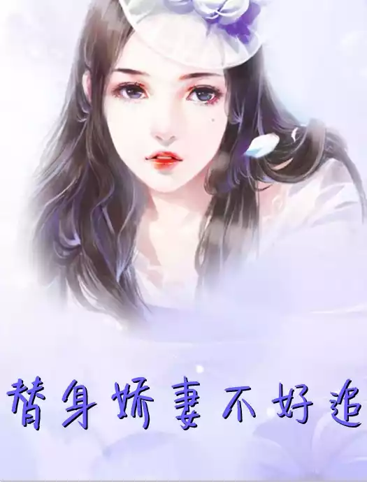 替身娇妻不好追小说