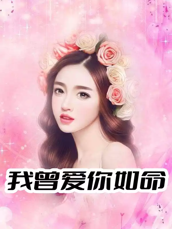 我曾爱你如命小说