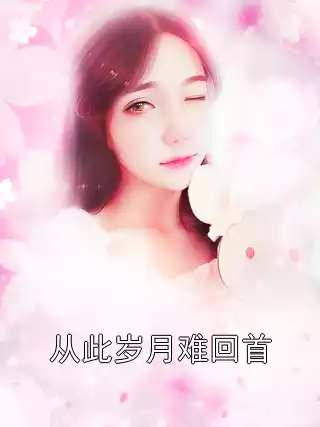 从此岁月难回首小说