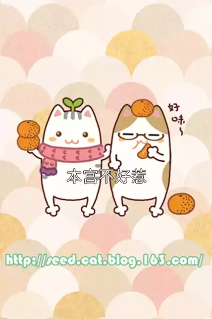 本宫不好惹小说