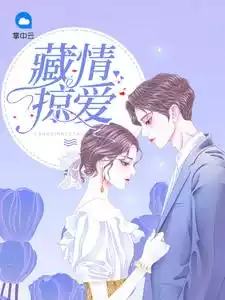 藏情掠爱小说
