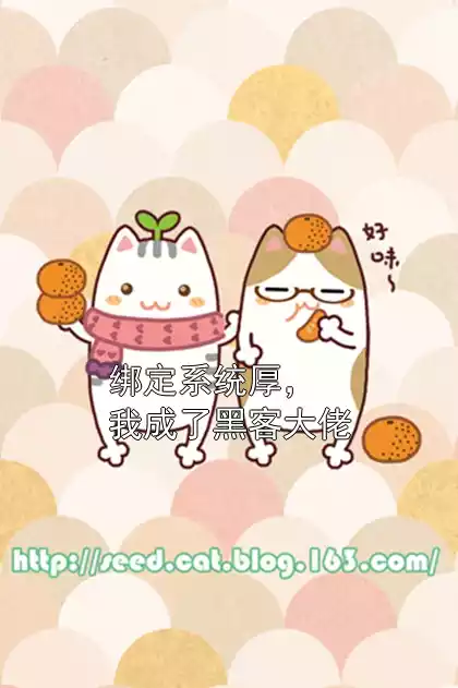 绑定系统厚，我成了黑客大佬小说