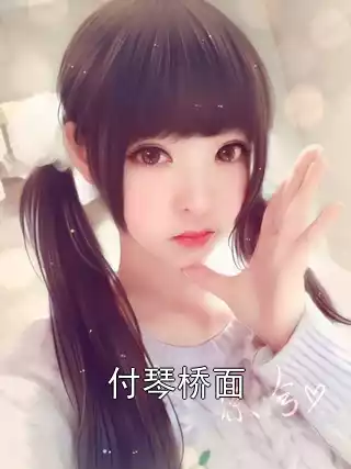 付琴桥面小说