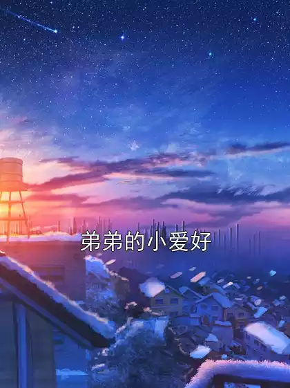 弟弟的小爱好小说