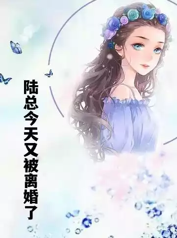 陆总今天又被离婚了