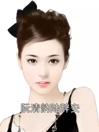 阮清韵陆辞安