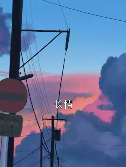 长情小说