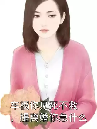 车祸你见死不救，提离婚你急什么小说
