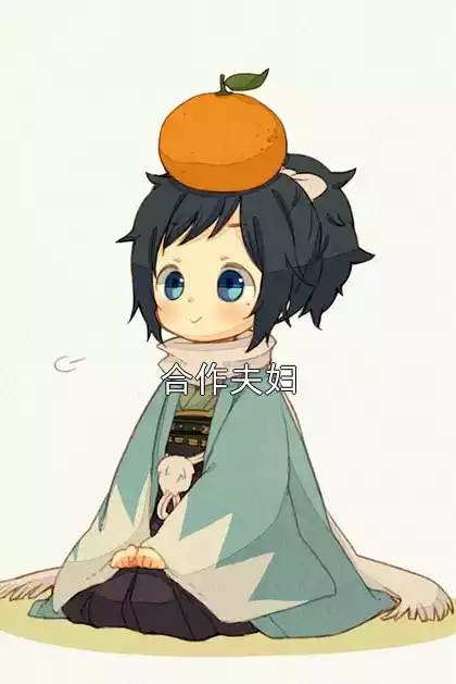 合作夫妇小说