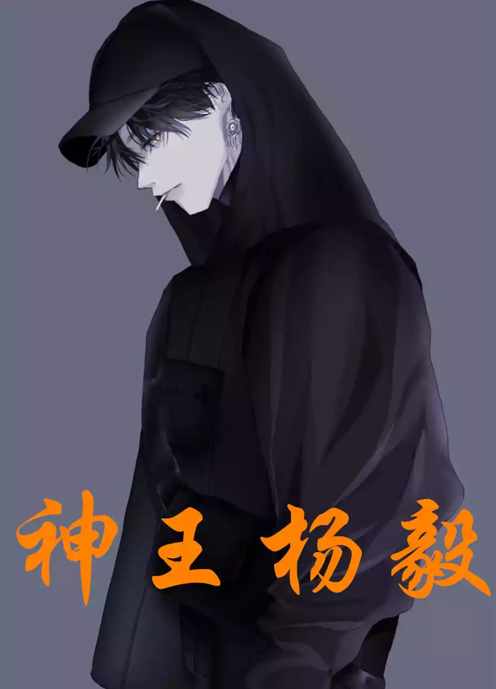 神王杨毅小说