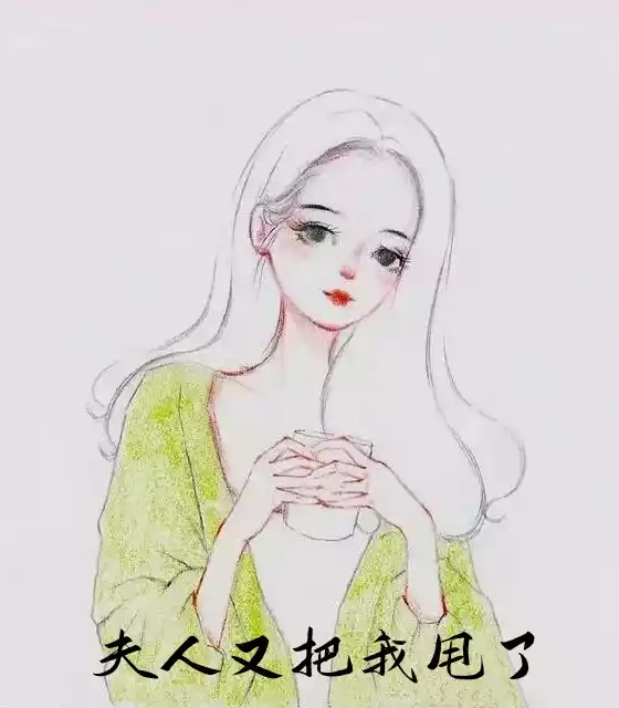 夫人又把我甩了小说