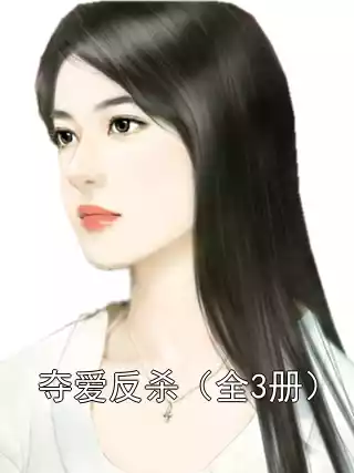 夺爱反杀（全3册）小说
