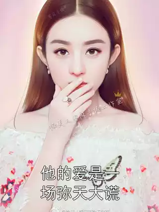 他的爱是一场弥天大谎小说