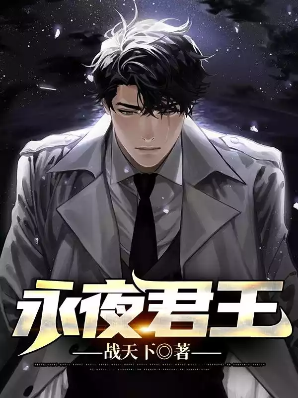永夜君王小说